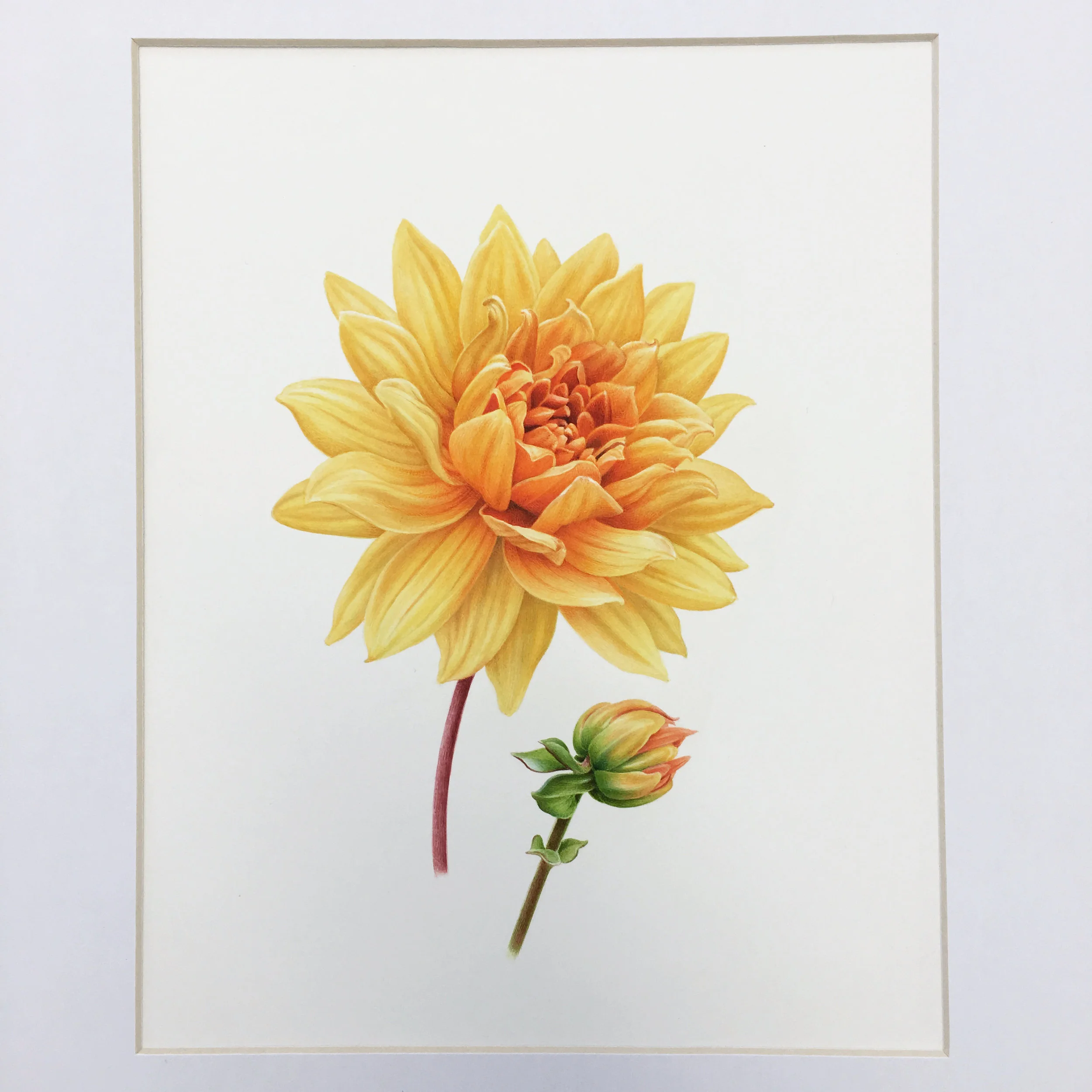 絵画　Dahlia IMG-2432_1200x1200.jpg?v=